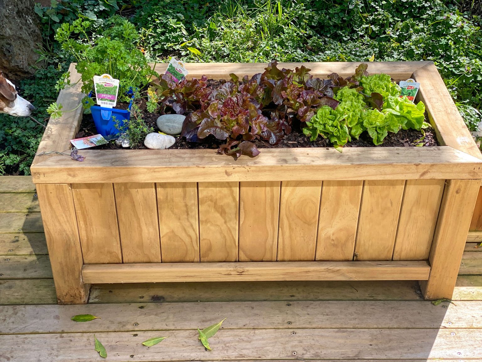 Homestead Planter Boxes - Trellis Gate & Fance Makers